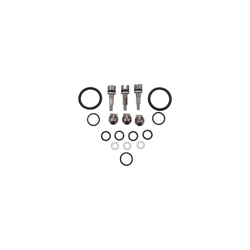 Valve Spare Part Kit for DZ Manifolds O2 clean