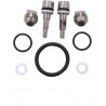 Valve Spare Part Kit for 70007 V- Valve fixed Outlet O2 clean