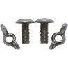 DZ Screw Set of 2  M8x25 mm Backplate 3 mm