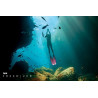 CORSO APNEA FREEDIVER PADI