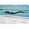 CORSO APNEA BASIC FREEDIVER PADI