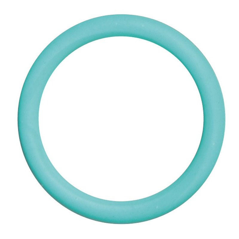 O-Ring Viton 108 Frusta Manometro