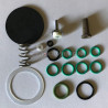 ANNUAL SERVICE KIT F40 VITON