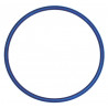 O-RING BLU HALCYON RICAMBIO PER CANISTER TORCIA EXPLORER 9 AH