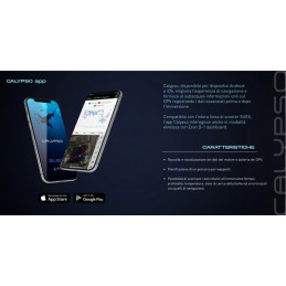 SINAPSI SUEX MUSONE PER SCOOTER SUEX XJS E XK