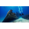 PADI COURSE ADVANCED OPEN WATER DIVER