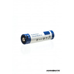 Ammonite batteria ricaricabile 21700 Con Cavo USB-C e Indicatore di carica