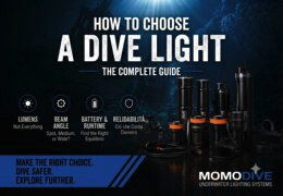 How to Choose a Dive Light: The Complete Guide to Finding the Right Underwater Lighting System
